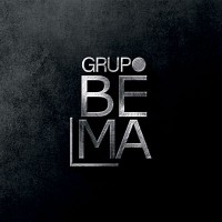 Grupo BEMA logo - Similar company to Bema Tecnologías Y Nutrición