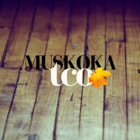 Taylor Carpet One logo - Similar company to Hvs Laboratories, Inc