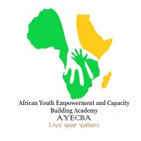 African Youth Empowerment and Capacity Building Academy (AYECBA) logo - Similar company to Cbmp - Capacity Building And Mentorship Program In Ethiopia
