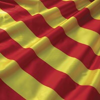 Alu Catalan logo - Similar company to Brl Sucla
