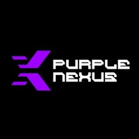 Purple Nexus logo - Similar company to Softous Solutions