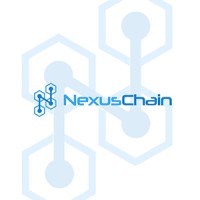 Nexus Chain logo - Similar company to Nexus Blockchain