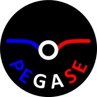 PEGASE logo - Similar company to Perfe-O