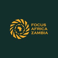 Focus Africa Consulting logo - Similar company to Beehive Associates