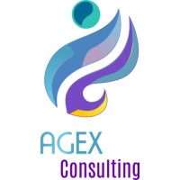 Agex Consulting logo - Similar company to Amaynotech