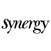 Synergy Multi-Managers logo - Similar company to Everloop Plastic