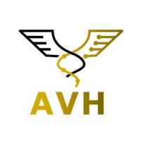 Ain Shams University Virtual Hospital logo - Similar company to Human Centered Mechatronics Lab