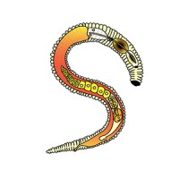 Synergy Agricultural Products logo - Similar company to Sls Synergy Group