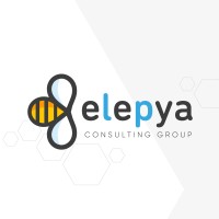 Elepya logo - Similar company to Stm Latam