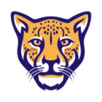 Sports Cheetah logo - Similar company to Sports Malayalam