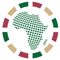 Africa Public Health Foundation logo - Similar company to Peace Restoration And Integral Global Development Initiative