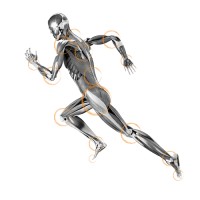 Project Chiro