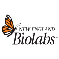 New England Biolabs Korea logo - Similar company to Morpho Biotech