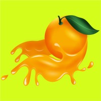 Orange logo - Similar company to Trueqmx