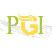 Power Grid Innovations Inc (PGI) logo - Similar company to Solarptl