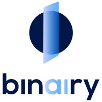 Binairy GmbH logo - Similar company to The University Of Chenab, Gujrat
