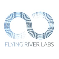 Flying River Labs logo - Similar company to Gogetters