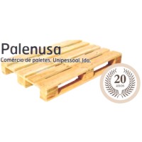 Palenusa logo - Similar company to Prosolid