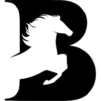Bridgemont Partners Inc. logo - Similar company to Rightexit By Rightworks