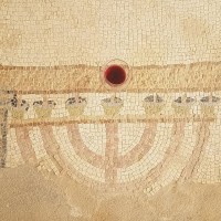 Israel Wine Agency logo - Similar company to Allispossible • Communication Agency In Israel