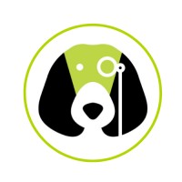 Savvy Beagle