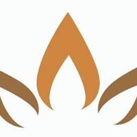 Vietnamese American Services logo - Similar company to Communitythrives Lab