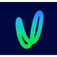 Vector Limited logo - Similar company to Z Energy Nz