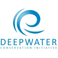 Deepwater Conservation Initiative logo - Similar company to Deepwater Technologies