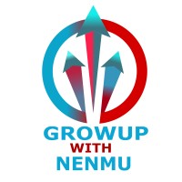 Nenmu Digital Services logo - Similar company to Paramount Solutions For General Contracts And Trading Ltd.