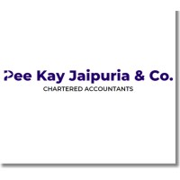 Pee Kay Jaipuria & Co. logo - Similar company to Dl Softech
