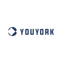 YouYork Management logo - Similar company to Pinnacle Strategy, Llc