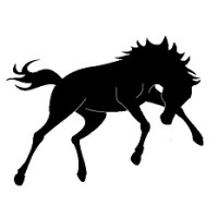 Bronco Environmental, Ltd. logo - Similar company to Gaia Environmental Consulting