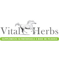 Vital Herbs logo - Similar company to Indo Phytochem Pharmaceuticals