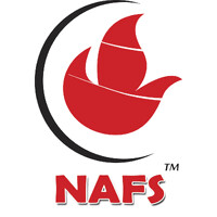 National Fire Safety Systems logo - Similar company to Igen