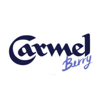Carmel Berry by Ampa group logo - Similar company to Embrya Maternity