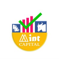 Mint Capital logo - Similar company to Itview Inc