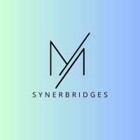 SynerBridges logo - Similar company to Fj Digital Ltd.