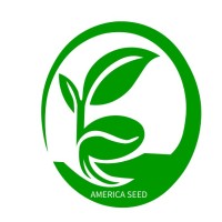 America Seed Ltd logo - Similar company to Ewa Agro