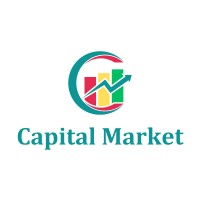 Capital Market Ethiopia logo - Similar company to Pispace Innovations