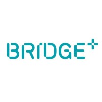 Bridge+