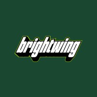 brightwing Agency logo - Similar company to Launch 3