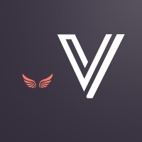 VeloxVision logo - Similar company to Akg Study Group