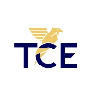 TCE Kancelaria Usług Księgowych logo - Similar company to Flyingatom Gold
