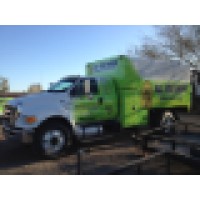 expert tree service