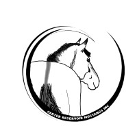 Carter Reservoir Mustangs Inc, DBA Carter Reservoir Mustang Registry logo - Similar company to Biomedical Engineering Ngp (Ben)