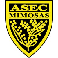 ASEC Mimosas logo - Similar company to Ifapt