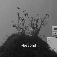 Beyond Ventures logo - Similar company to Spike (Acquired By Bain & Company)