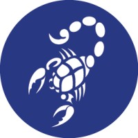 Blue Scorpion Limited logo - Similar company to Ek Services