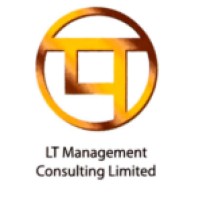 LT Management Consulting Limited logo - Similar company to 161 International