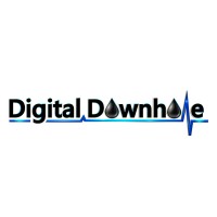 Digital Downhole logo - Similar company to Bele Chemical
